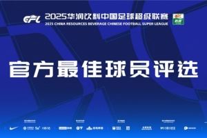 中超第18轮最佳候选:瓦科、德尔加多、刘祝润、米特里策等入围